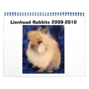 Calendário Coelhos Lionhead 2009-2010