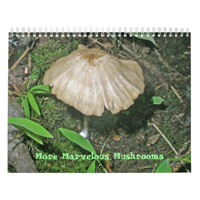 Calendário - Cogumelos Mais Maravilhosos (Capa)