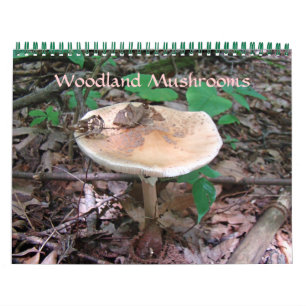 Calendário - Cogumelos Woodland