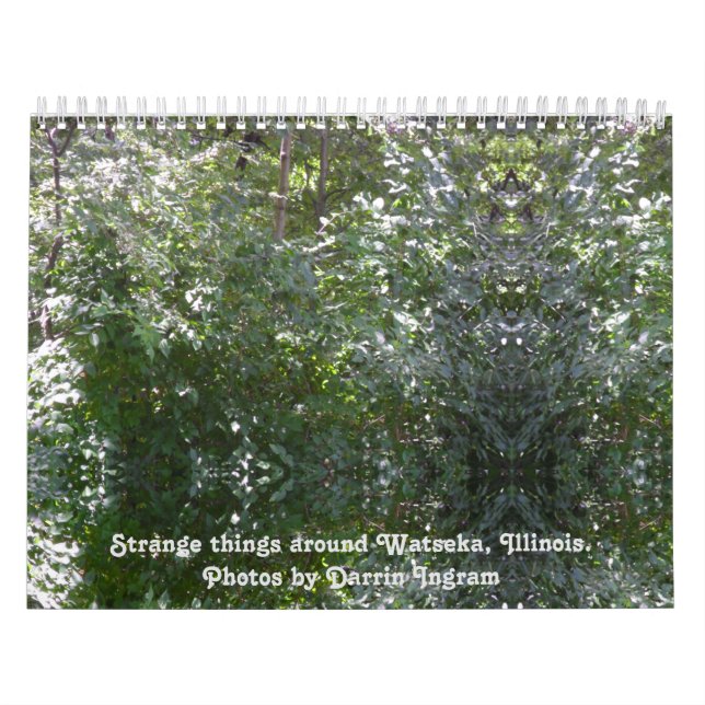 Calendário Coisas estranhas em torno de Watseka, Illinois (Capa)