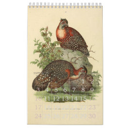 Calendário Coleção da ilustração dos pássaros do vintage