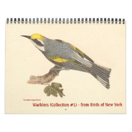 Calendário Coleção de Warbler nº 1 litografias de Aves de NY