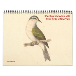 Calendário Coleção de Warbler nº 2 litografias de Aves de NY