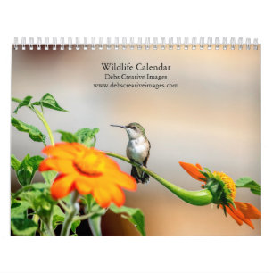 Calendário Coleção Vida Selvagem 2027 Natureza Norte-Americ