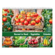 Colheita na Mão – Um Ano de Legumes