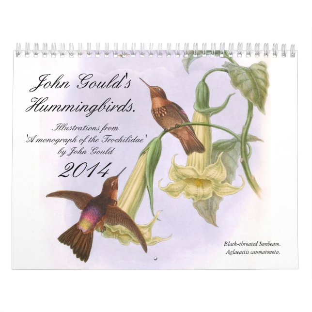 Calendário Colibris 2014 de John Gould (Capa)
