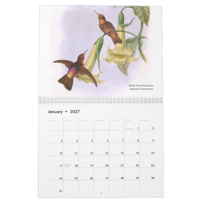 Calendário Colibris 2015 de John Gould (Jan 2027)