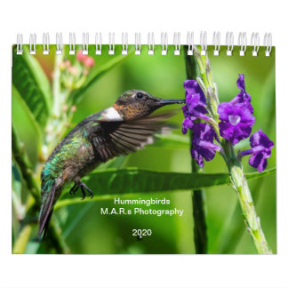Calendário Colibris 2020
