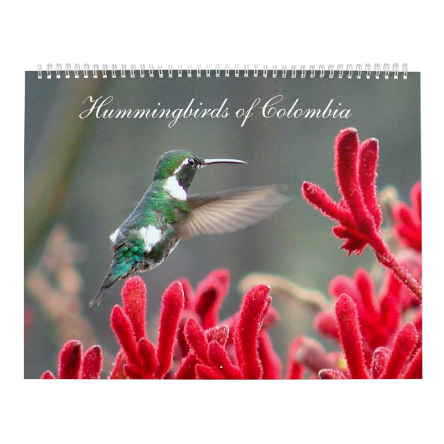 Calendário Colibris de Colômbia (Capa)
