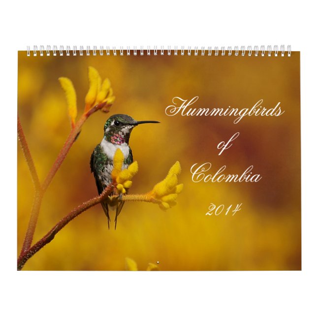Calendário Colibris de Colômbia (Capa)