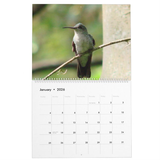 Calendário Colibris de Colômbia (Jan 2026)