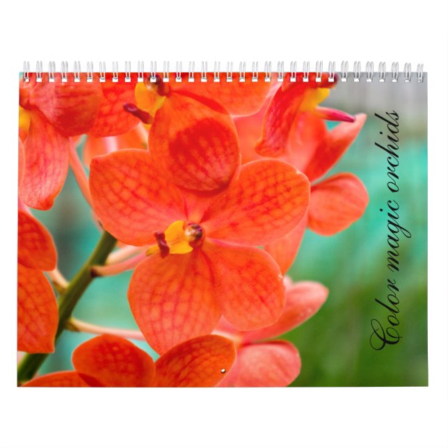 Calendário Color magic orchids (Capa)
