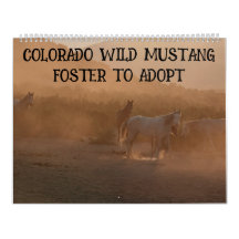 Calendário Colorado Foster to Adopt