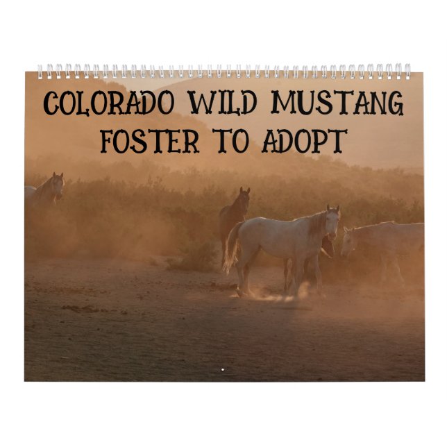 Calendário Colorado Foster to Adopt (Capa)
