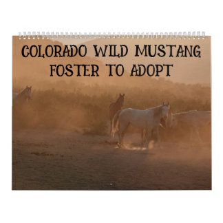 Calendário Colorado Foster to Adopt