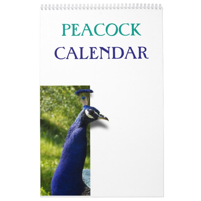 Calendário Colorful Peacock 2025 (Capa)