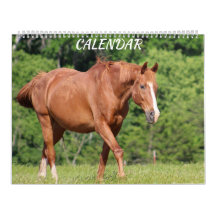 Calendário Colorido de Fazenda Horse Bright