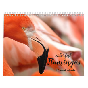 Calendário Coloridos Flamingos 2025