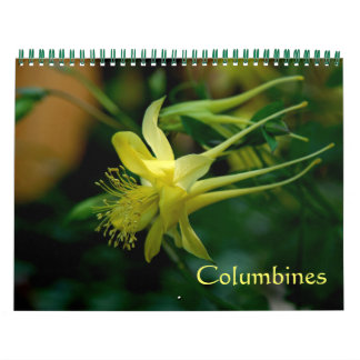 Calendário Columbinas