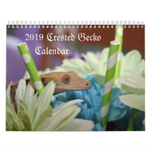 Calendário com crista do geco 2019
