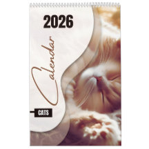 Calendário com gatinhos fofos