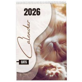 Calendário com gatinhos fofos