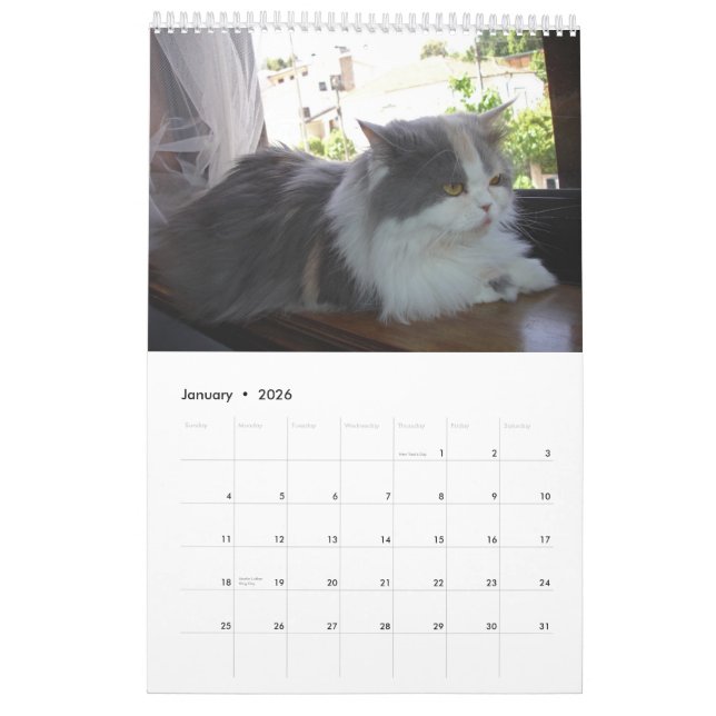 Calendário com os gatos - personalizados (Jan 2026)