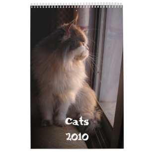 Calendário com os gatos - personalizados