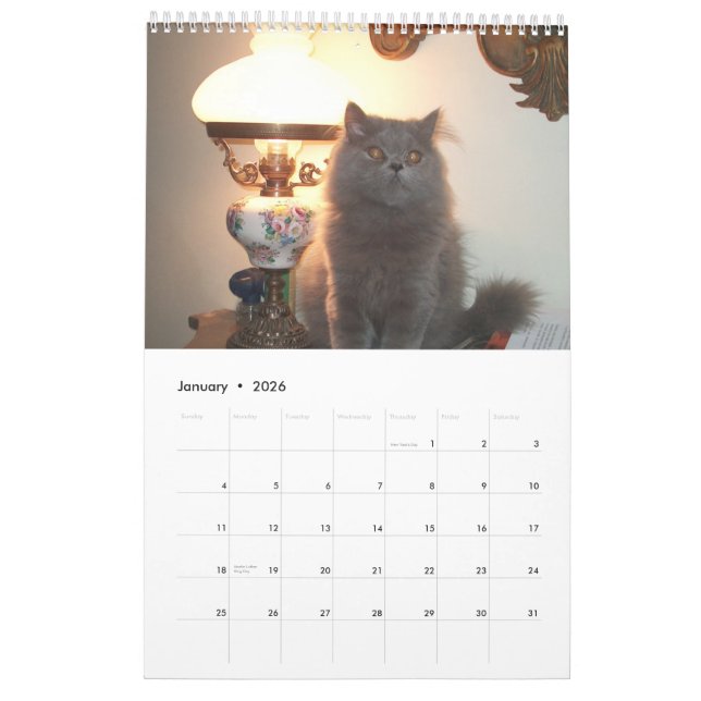Calendário com os gatos - personalizados (Jan 2026)