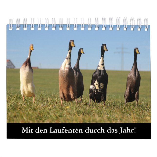 Calendário Com os patos de continuar pelo ano! (Capa)