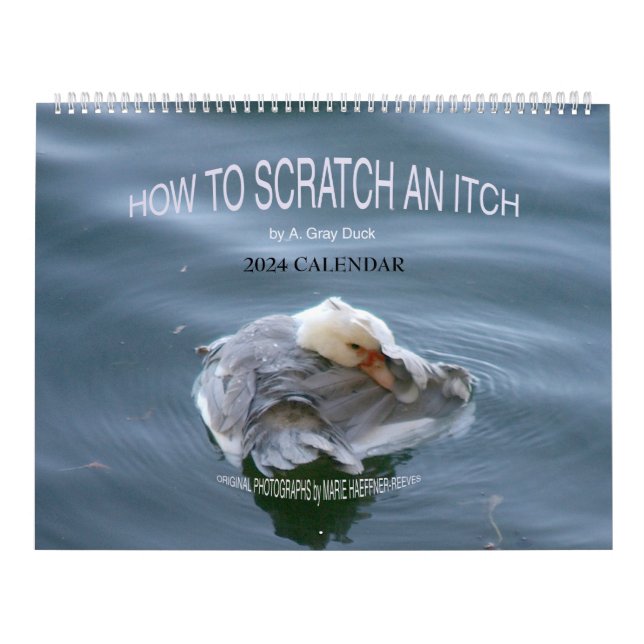 Calendário COMO ESCALAR UM ITCH DE A. Cinza Duck 2024 (Capa)