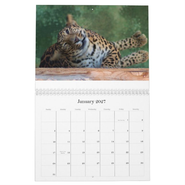 CALENDÁRIO COMPOSTO FELINO EXÓTICO DA CRIAÇÃO DE ANIMAIS (Jan 2027)