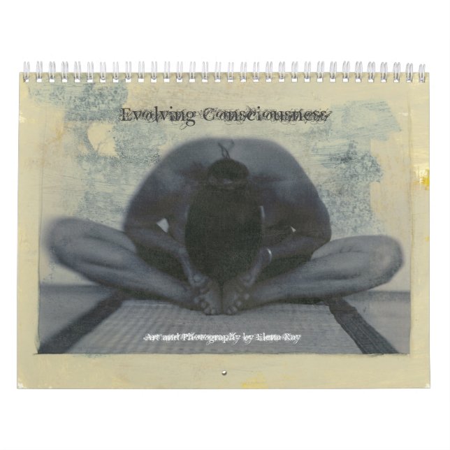 Calendário Consciência em desenvolvimento (Capa)