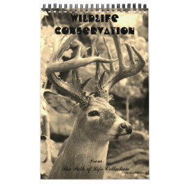 Calendário Conservação dos animais selvagens