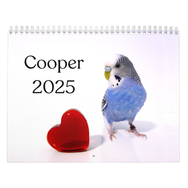 Calendário Cooper the Budget 2025 (Capa)