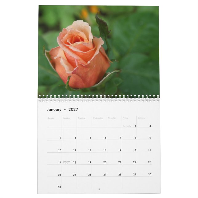Calendário cor-de-rosa dos amantes da gratitude (Jan 2027)