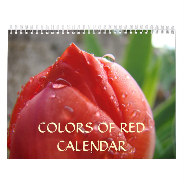 CALENDÁRIO Cores de CALENDÁRIOS VERMELHOS Árvores  (Capa)