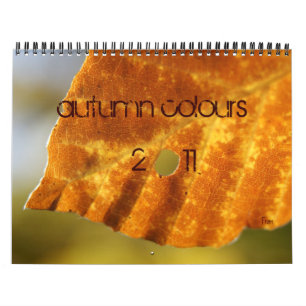 Calendário cores do outono