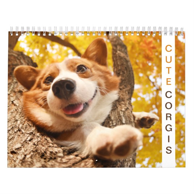 Calendário Corgis fofo! Cachorro/Cachorro (Capa)