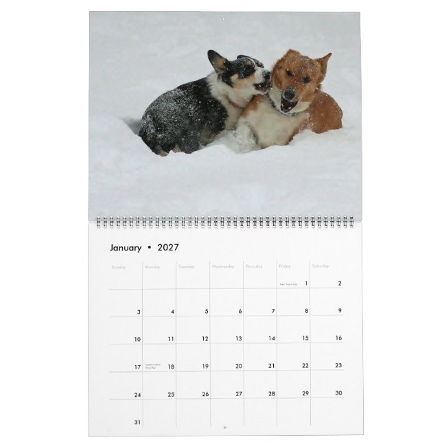 Calendário Corgis ir 2014 (Jan 2027)