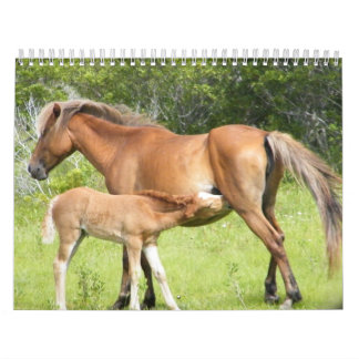 Calendário Corolla 2009-7-23 de Wright 00118