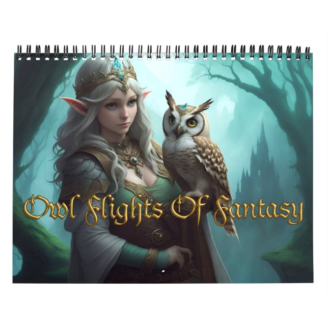 Calendário Coruja Voa De Fantasia (Capa)