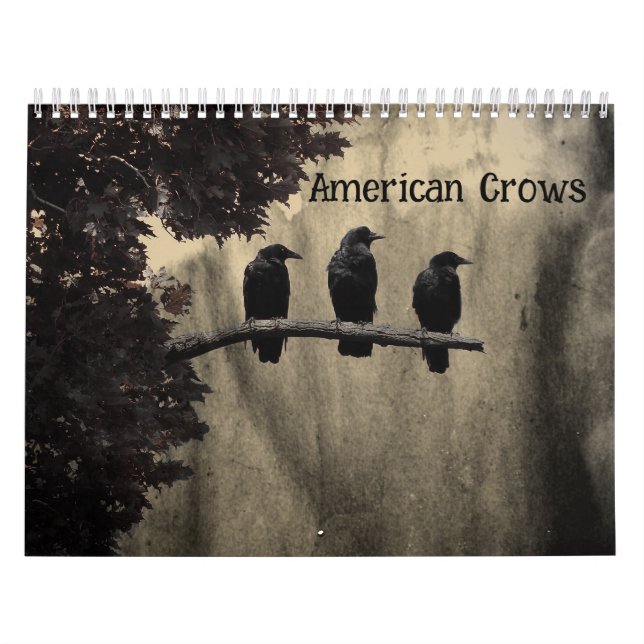 Calendário Corvos Americanos (Capa)