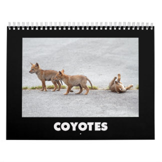 Calendário Coyotes Calendar