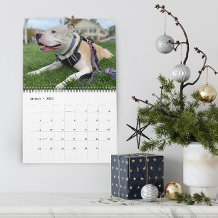 Calendário Criando Memórias de Cachorro Personalizadas