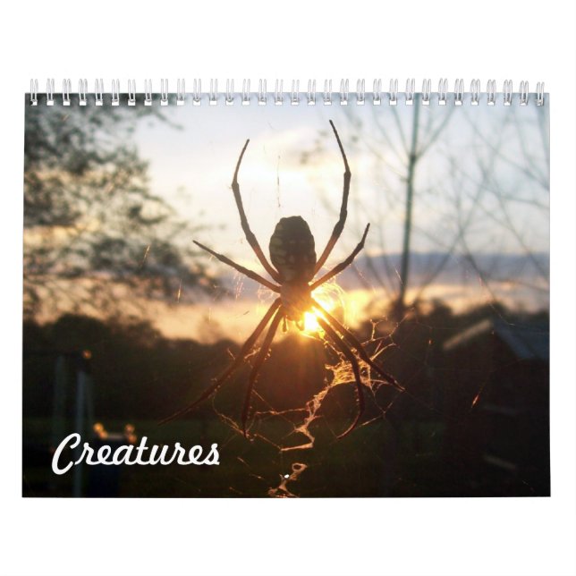 Calendário Criaturas (Capa)