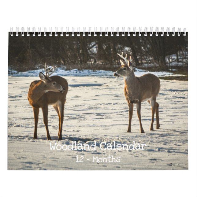 Calendário Criaturas da Floresta Natureza  (Capa)
