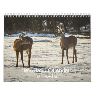 Calendário Criaturas da Floresta Natureza