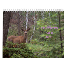 Calendário Critérios que Vemos 