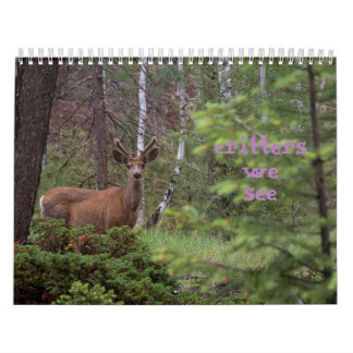 Calendário Critérios que Vemos 